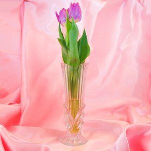 Studio Nova Mikasa Belmont Glass Bud Vase